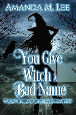 Book cover for You Give Witch a Bad Name
