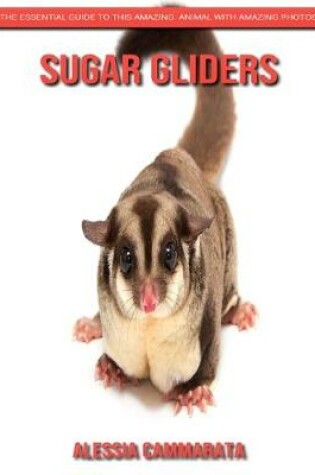 Cover of Sugar gliders