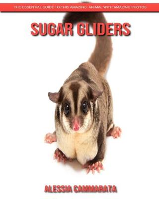 Book cover for Sugar gliders