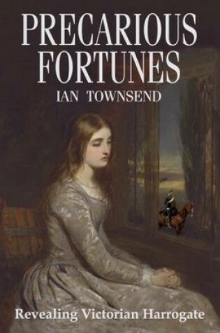 Cover of Precarious Fortunes