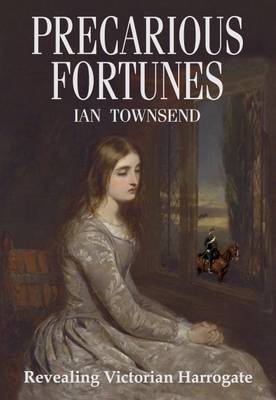 Book cover for Precarious Fortunes