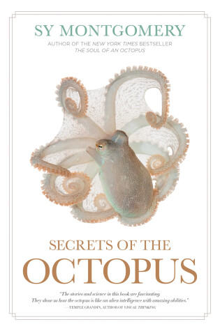 Cover of Secrets of the Octopus