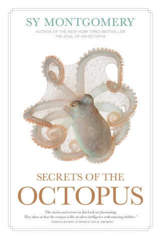 Book cover for Secrets of the Octopus