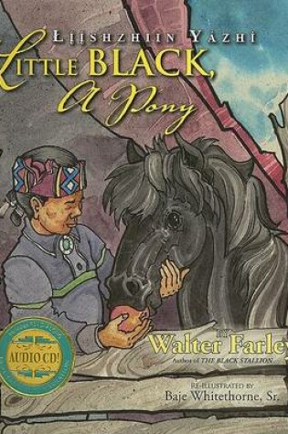 Cover of Little Black, a Pony