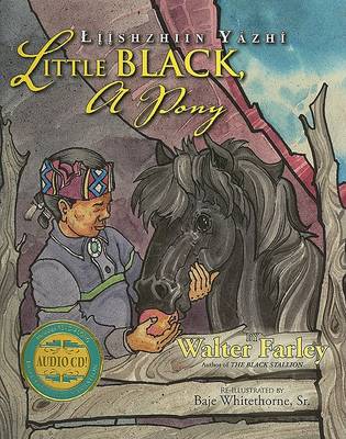 Book cover for Little Black, a Pony