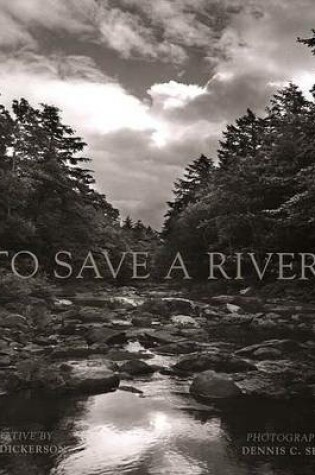 Cover of To Save a River