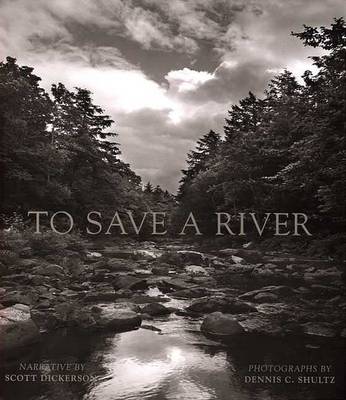 Book cover for To Save a River