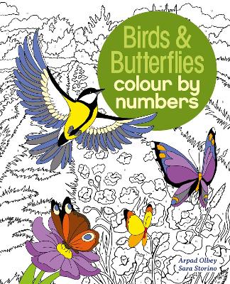 Cover of Birds & Butterflies Colour by Numbers