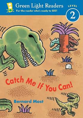 Book cover for Catch Me If You Can!