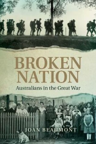 Cover of Broken Nation