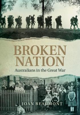 Book cover for Broken Nation