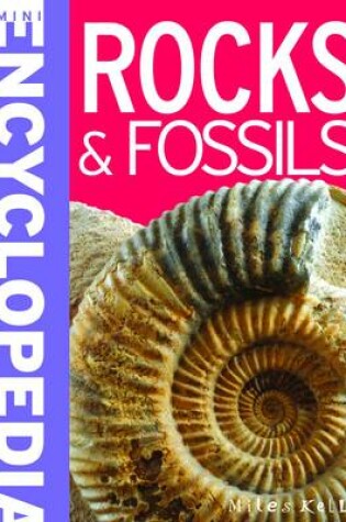 Cover of Mini Encyclopedia - Rocks & Fossils