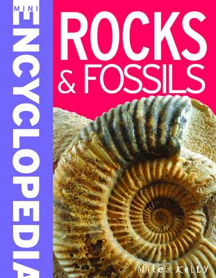 Book cover for Mini Encyclopedia - Rocks & Fossils