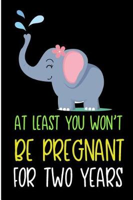 Book cover for At Least You Won't Be Pregnant for Two Years