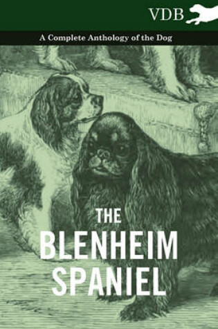 Cover of The Blenheim Spaniel - A Complete Anthology of the Dog -