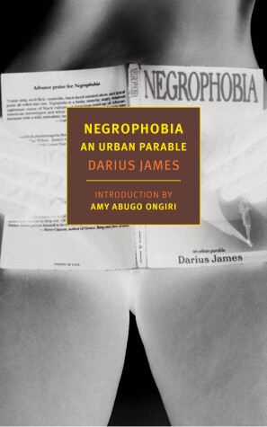 Book cover for Negrophobia