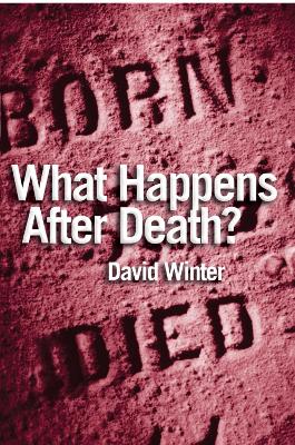 Cover of What Happens After Death?