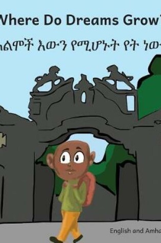 Cover of Where Do Dream Grow in English and Amharic