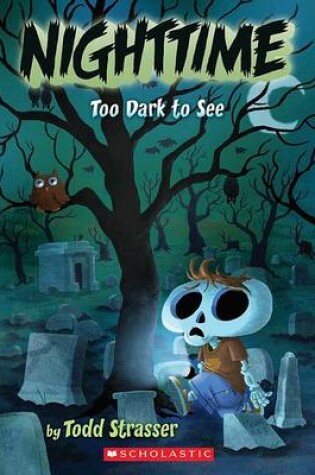 Cover of Nighttime Too Dark to See