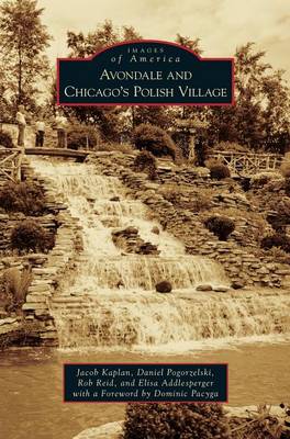Book cover for Avondale and Chicago's Polish Village