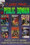 Book cover for It Came From the Public Domain #5