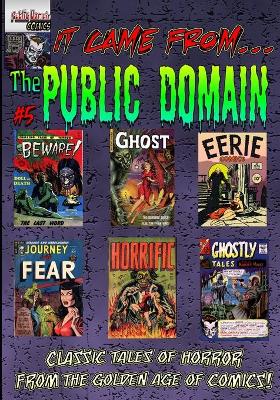 Cover of It Came From the Public Domain #5