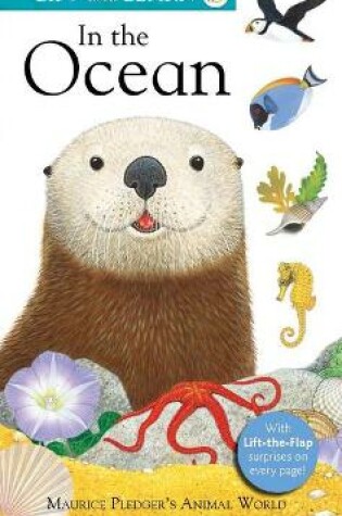 Cover of Lift and Learn: In the Ocean