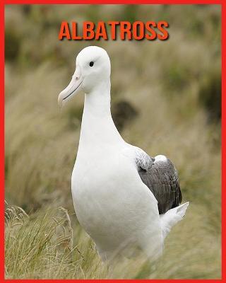 Book cover for Albatross