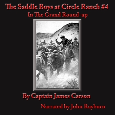 Cover of The Saddle Boys at Circle Ranch