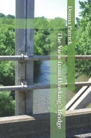 Cover of The View from Hawking's Bridge