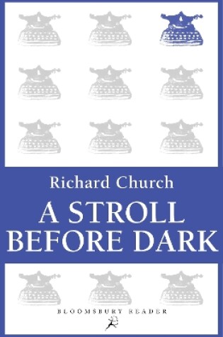 Cover of A Stroll Before Dark