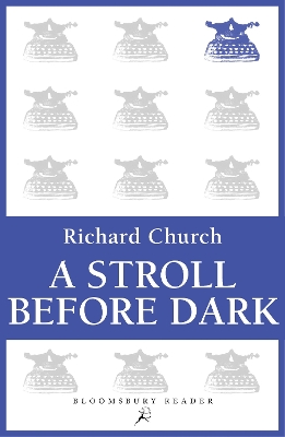 Book cover for A Stroll Before Dark