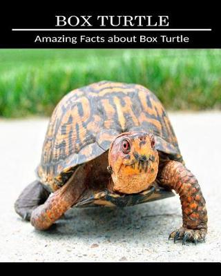 Book cover for Amazing Facts about Box Turtle