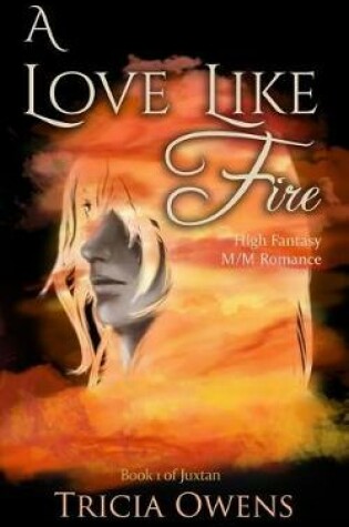 Cover of A Love Like Fire