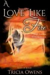 Book cover for A Love Like Fire
