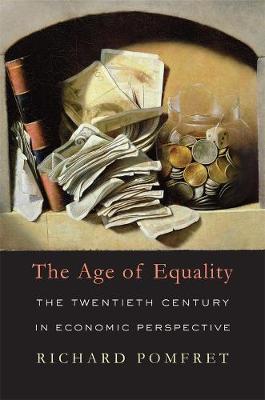 Book cover for The Age of Equality