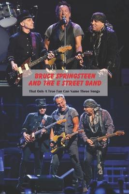 Book cover for Bruce Springsteen and The E Street Band