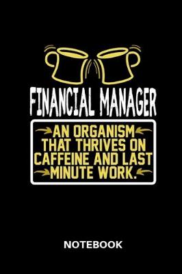 Book cover for Financial Manager - Notebook