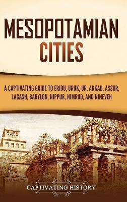 Book cover for Mesopotamian Cities