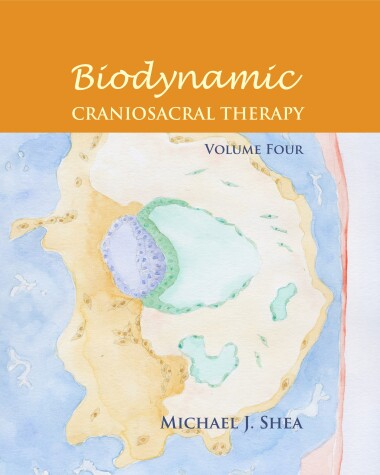 Book cover for Biodynamic Craniosacral Therapy, Volume Four