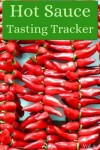 Book cover for Hot Sauce Tasting Tracker Vol. 5