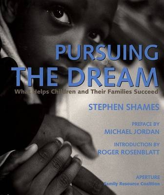 Book cover for Pursuing the Dream