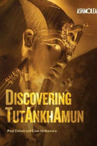 Cover of Discovering Tutankhamun