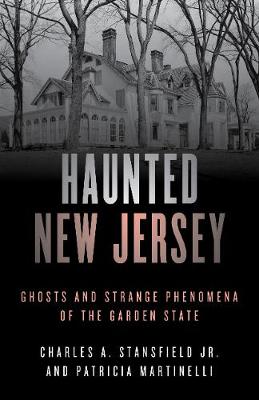 Book cover for Haunted New Jersey