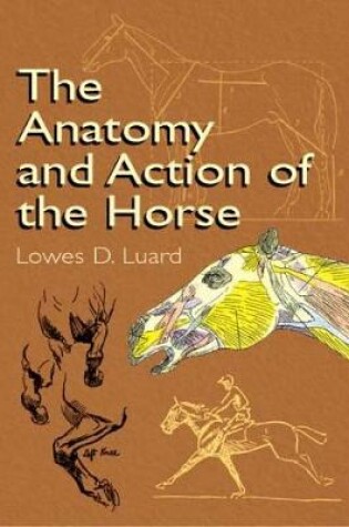 Cover of The Anatomy and Action of the Horse