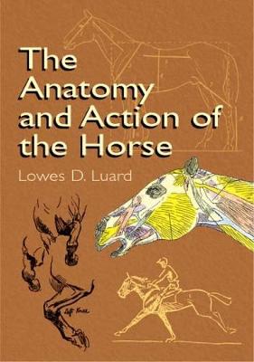 Book cover for The Anatomy and Action of the Horse