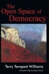 Book cover for The Open Space of Democracy