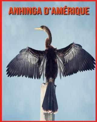 Book cover for Anhinga d'Amérique