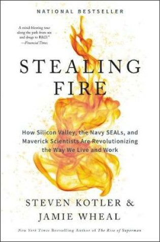 Cover of Stealing Fire