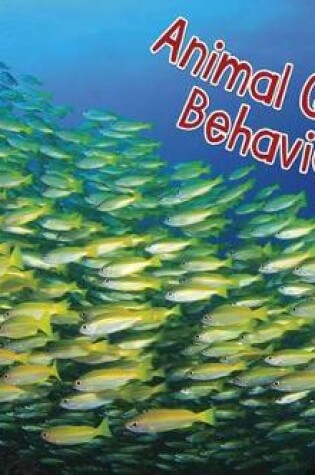 Cover of Animal Group Behavior
